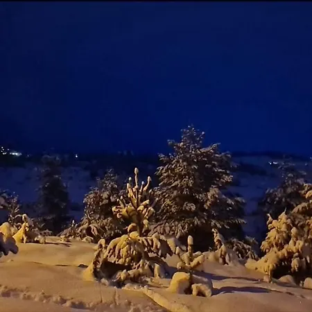 Noa Kupres (Canton 10)